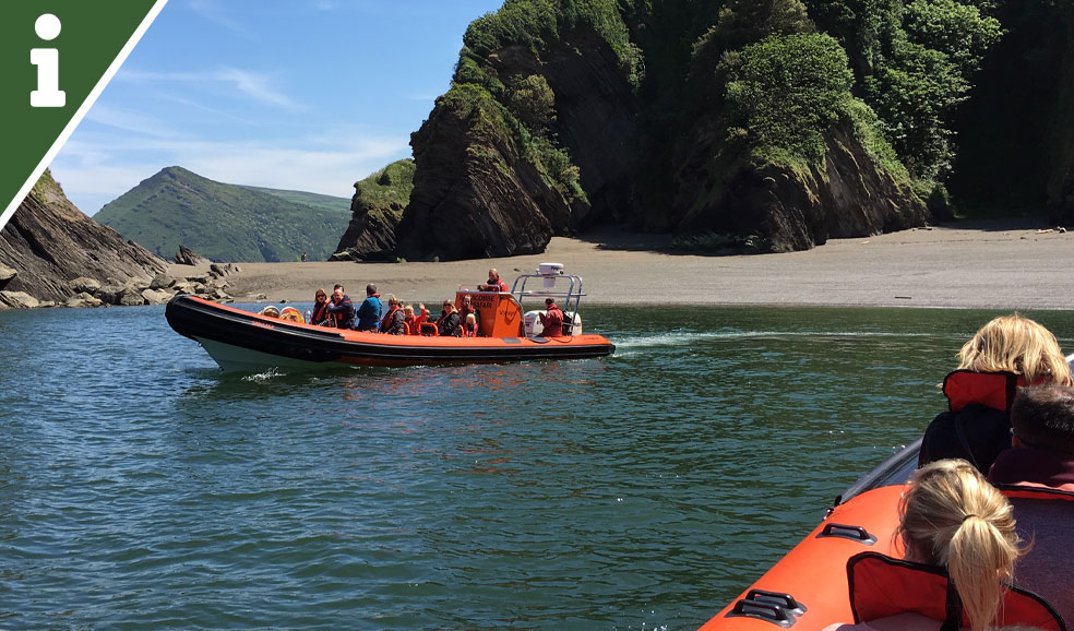 Ilfracombe Sea Safari North Devon