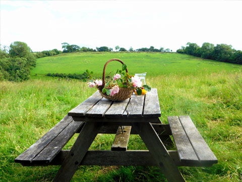 Wootton Manor Woodland Bus Holiday Accommodation