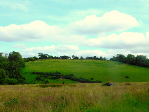 Wootton Manor Woodland Bus Holiday Accommodation